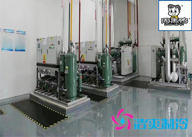 湖北周黑鸭80000m³生产加工成品低温物流菠萝蜜在线观看施工工程案例