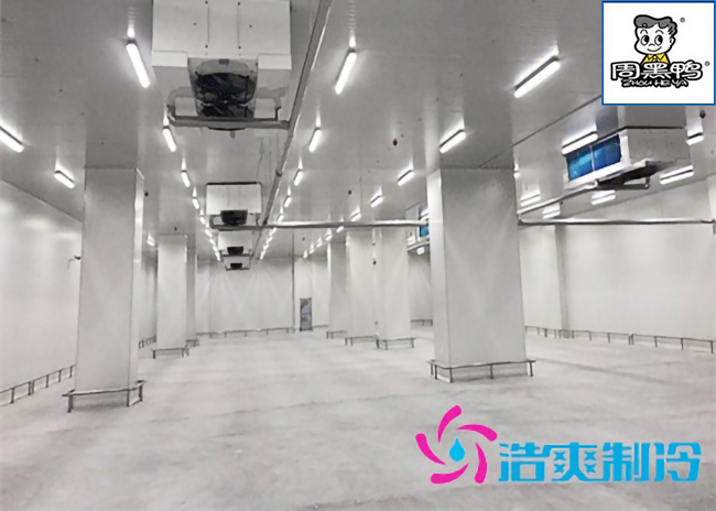 湖北周黑鸭80000m³生产加工成品低温物流菠萝蜜在线观看施工工程案例