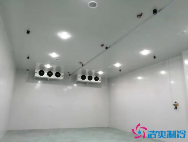 食品冷冻库建造需要多少成本？_菠萝蜜视频在线免费观看制冷