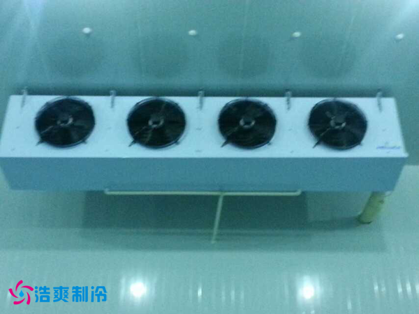 兰州正林农垦食品_干果保鲜菠萝蜜在线观看安装