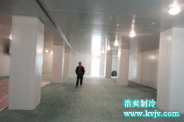 2676立方米罗田县食为天板栗气调菠萝蜜在线观看