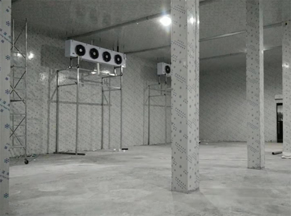 100平方米冰淇淋低温菠萝蜜在线观看安装配置清单_菠萝蜜视频在线免费观看制冷