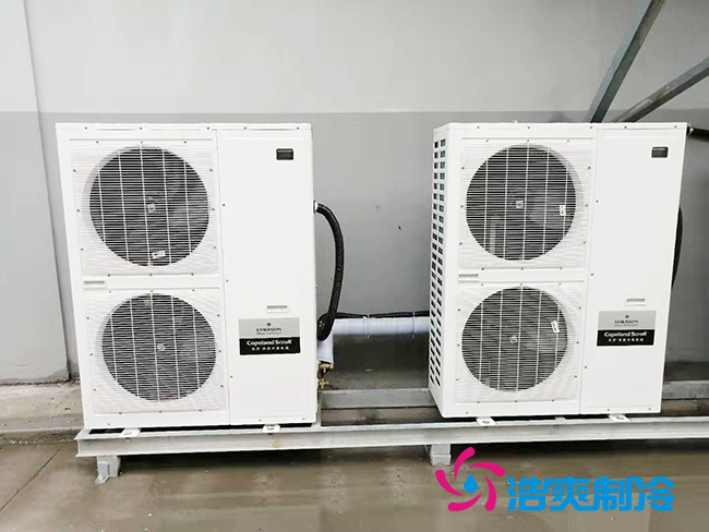 蜂蜜菠萝蜜在线观看建设方案和存储温度需求_菠萝蜜视频在线免费观看制冷