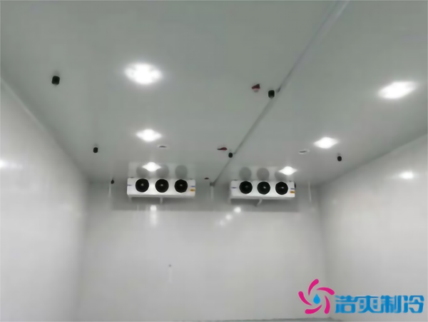 茄子气调菠萝蜜在线观看安装存储方法_菠萝蜜视频在线免费观看制冷 茄子气调菠萝蜜在线观看安装存储方法_菠萝蜜视频在线免费观看制冷