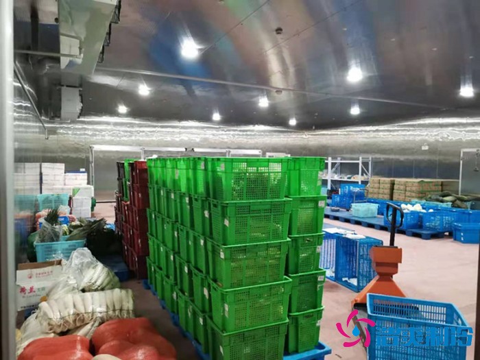 上海儒汇净菜中央厨房菠萝蜜在线观看建造工程案例