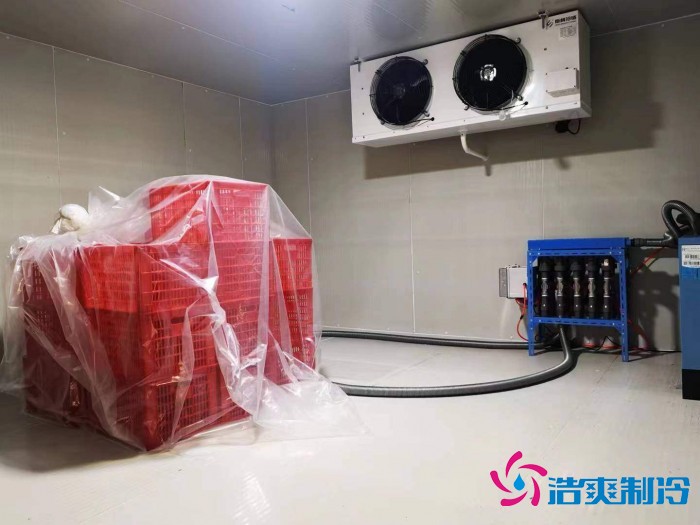 浙江“仙居杨梅”2000m³保鲜菠萝蜜在线观看