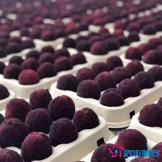 浙江“仙居杨梅”2000m³冷藏保鲜菠萝蜜在线观看建造