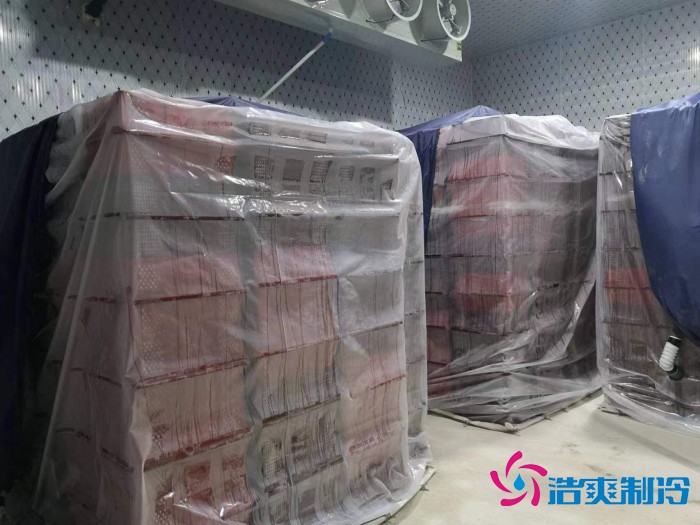 浙江“仙居杨梅”2000m³保鲜菠萝蜜在线观看建造