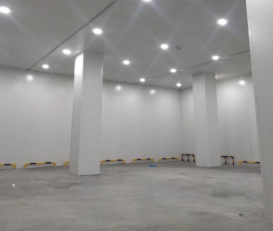 洋葱菠萝蜜在线观看建造需要多少钱？温度需求是多少？_菠萝蜜视频在线免费观看制冷