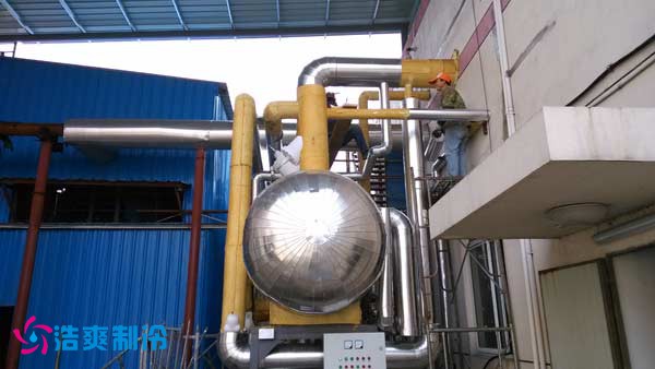 江苏大娘水饺食品有限公司菠萝蜜在线观看制冷设备系统技术改造项目