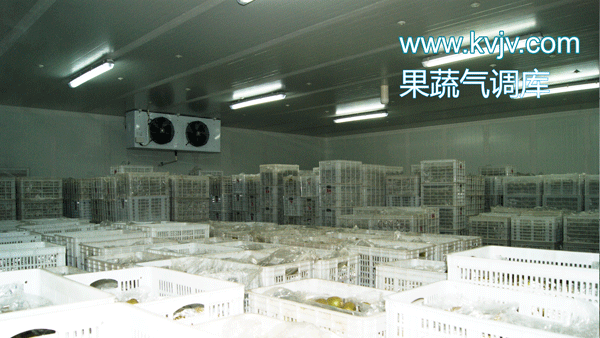 衢州蜜之源果业气调保鲜菠萝蜜在线观看建造工程