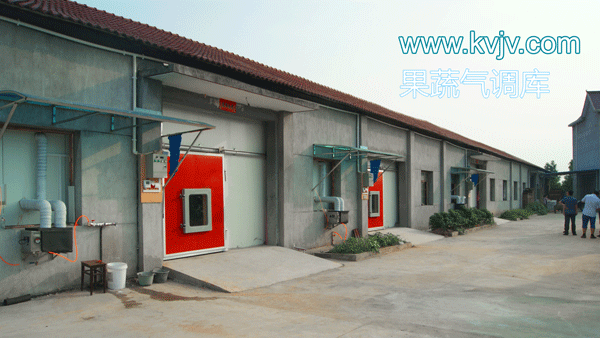 衢州蜜之源果业气调保鲜菠萝蜜在线观看建造工程