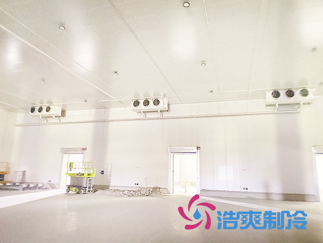 建造100平方米菠萝蜜在线观看包含整套设备安装整体需要多少钱？_菠萝蜜视频在线免费观看制冷