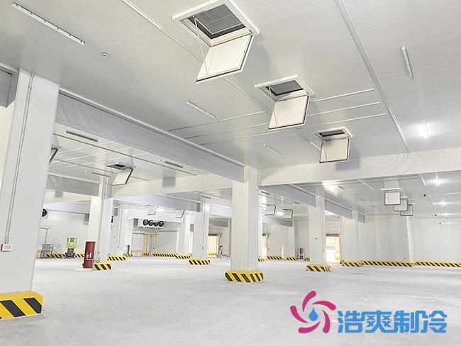 50000立方杭州盒马生鲜食品菠萝蜜在线观看工程