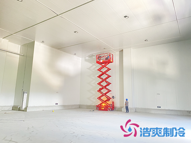 50000立方杭州盒马生鲜食品菠萝蜜在线观看工程