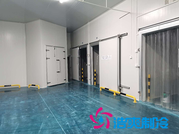 上海诺心实业38000m³食品原料菠萝蜜在线观看建造