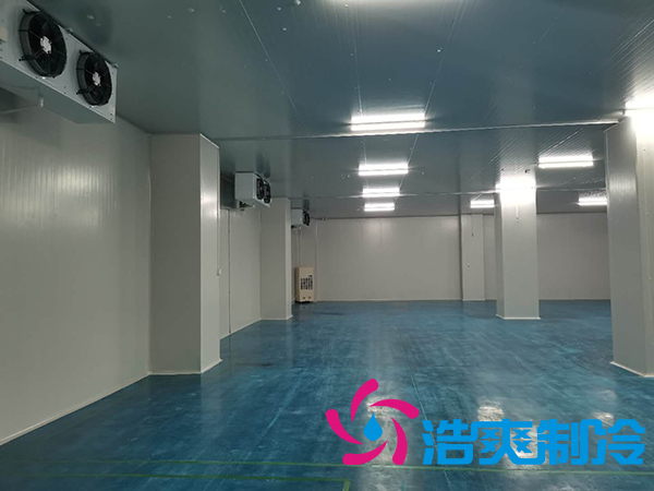 上海诺心实业38000m³食品原料菠萝蜜在线观看建造