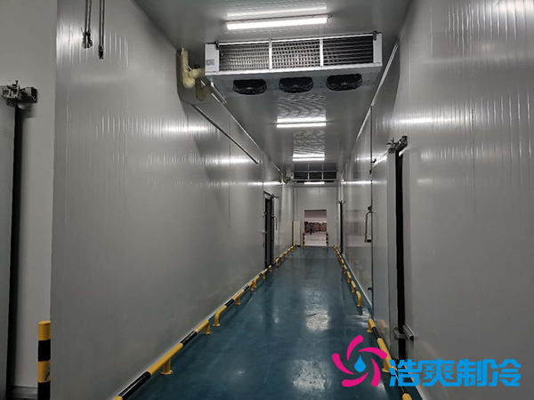 建一个1000平米蔬菜恒温库成本多少钱？_菠萝蜜视频在线免费观看制冷