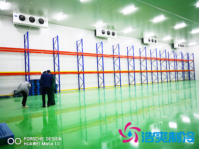 5000立方米鲜花保鲜菠萝蜜在线观看建造费用大概需要多少钱？_菠萝蜜视频在线免费观看制冷