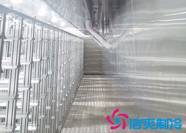 大型自动化菠萝蜜在线观看安装设计标准及特点_菠萝蜜视频在线免费观看制冷