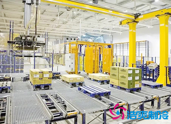 自动化食品立体菠萝蜜在线观看建造设计方案