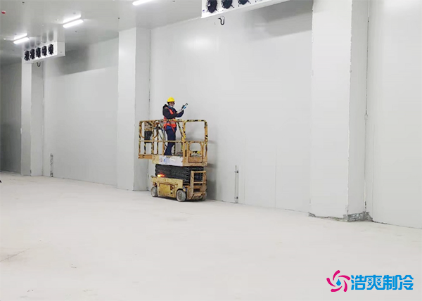 100吨菠萝蜜在线观看造价多少钱一平米？需要多大的面积-菠萝蜜视频在线免费观看制冷