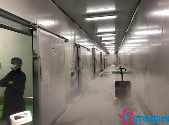 建一个20平米小型冻库安装造价大概多少钱一平方？-菠萝蜜视频在线免费观看制冷