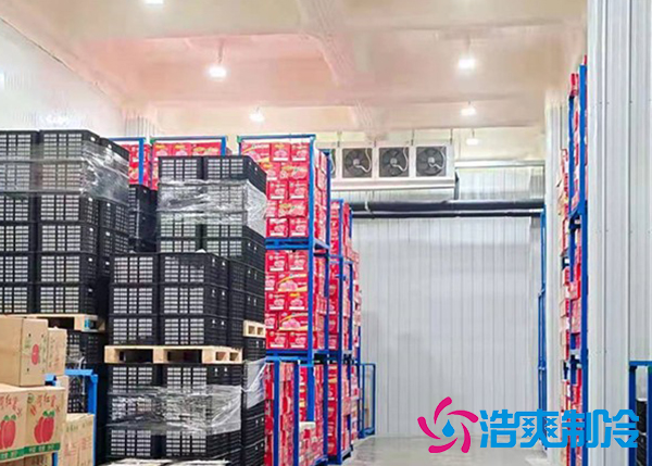 大型蔬菜菠萝蜜在线观看建造价格多少钱,果蔬保鲜冷藏库安装设计规范-菠萝蜜视频在线免费观看制冷 大型蔬菜菠萝蜜在线观看建造价格多少钱,果蔬保鲜冷藏库安装设计规范-菠萝蜜视频在线免费观看制冷