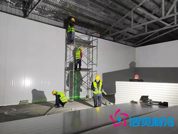 建设大型低温食品冷链物流仓库造价标准多少钱？-菠萝蜜视频在线免费观看制冷