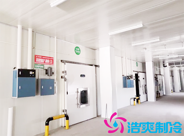 火龙果菠萝蜜在线观看保存方法,火龙果能在菠萝蜜在线观看存多久-菠萝蜜视频在线免费观看制冷