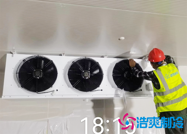 水果批发市场建造水果保鲜菠萝蜜在线观看报价大概需要多少钱？-菠萝蜜视频在线免费观看制冷