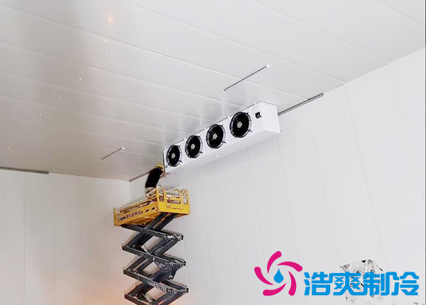 建一个速冻菠萝蜜在线观看设备报价大概需要多少钱？-菠萝蜜视频在线免费观看制冷