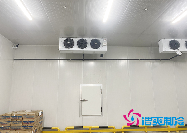 建一个水果催熟库安装价格大概多少钱？-菠萝蜜视频在线免费观看制冷