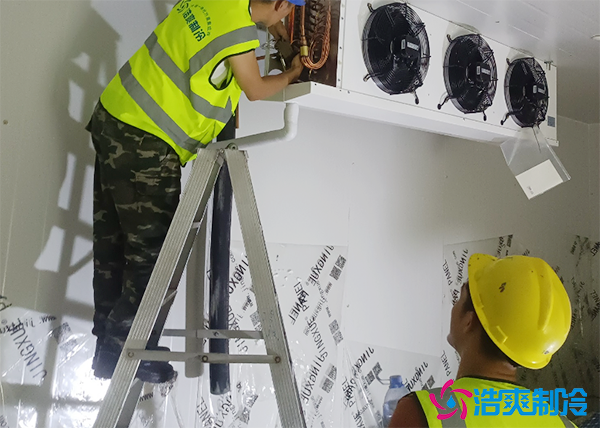 生鲜蔬菜配送中心菠萝蜜在线观看建造多大合适？大概需要多少钱？-菠萝蜜视频在线免费观看制冷