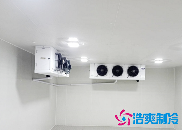 2000立方米农贸批发市场菠萝蜜在线观看建造设计方案及全套设备配置清单-菠萝蜜视频在线免费观看制冷