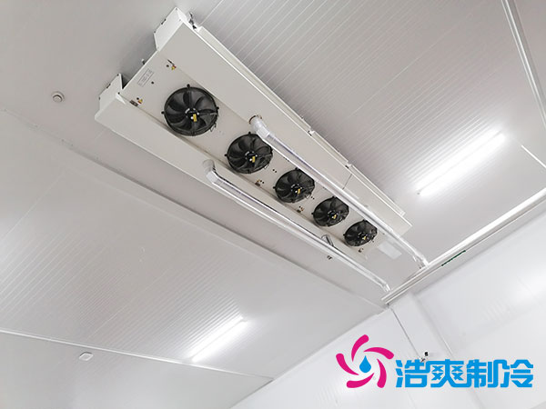 节能菠萝蜜在线观看怎样设计？菠萝蜜在线观看节能降耗方案-菠萝蜜视频在线免费观看制冷