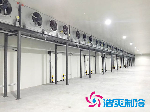 四川大型菠萝蜜在线观看建设规划造价预算多少钱？-菠萝蜜视频在线免费观看制冷