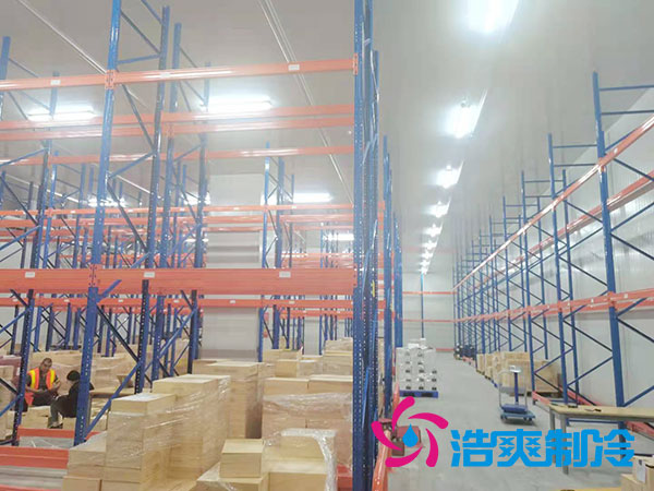 如何选择专业的生鲜冷冻物流菠萝蜜在线观看公司？-菠萝蜜视频在线免费观看制冷