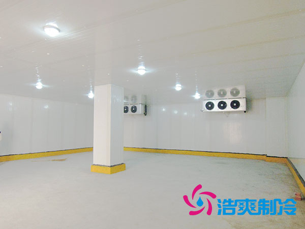 50吨果蔬气调库预算造价多少钱？-菠萝蜜视频在线免费观看制冷