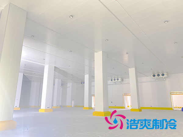 浙江肉类速冻库建造大概多少钱？-菠萝蜜视频在线免费观看制冷