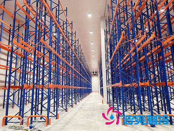 浙江物流菠萝蜜在线观看建造公司-菠萝蜜视频在线免费观看制冷