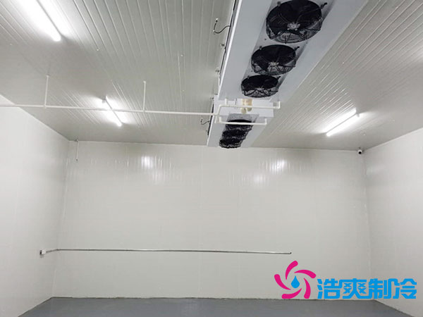 500吨菠萝蜜在线观看造价大概需要多少钱?500吨各类菠萝蜜在线观看造价表对比-菠萝蜜视频在线免费观看制冷