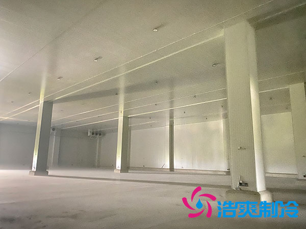 太仓中型菠萝蜜在线观看预算造价多少钱？-菠萝蜜视频在线免费观看制冷