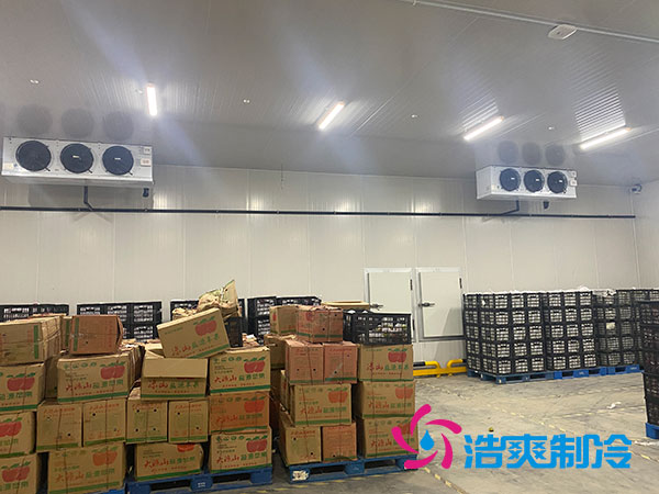 双温菠萝蜜在线观看