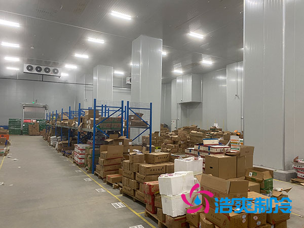 100吨菠萝蜜在线观看造价多少钱？2023年100吨菠萝蜜在线观看造价表-菠萝蜜视频在线免费观看制冷