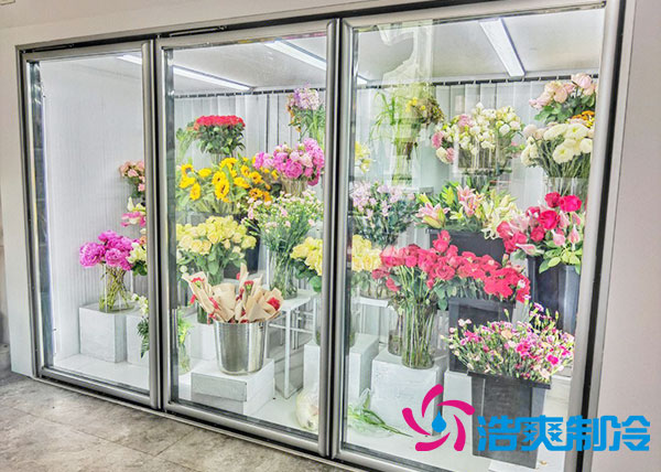 花店菠萝蜜在线观看适合风冷还是直冷？-菠萝蜜视频在线免费观看制冷