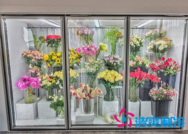 花店菠萝蜜在线观看适合风冷还是直冷？-菠萝蜜视频在线免费观看制冷