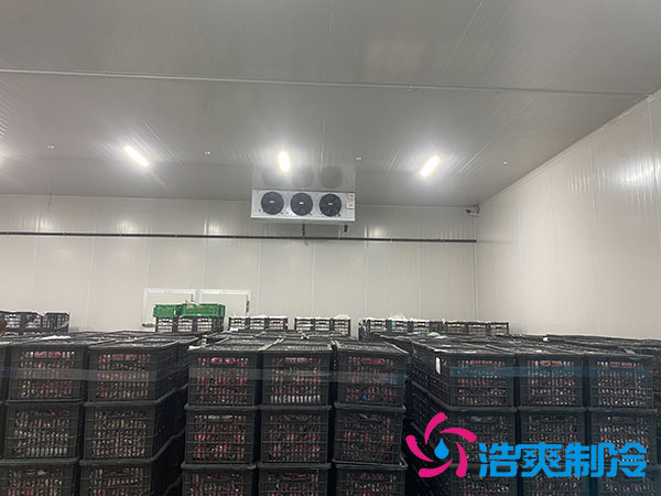 水果菠萝蜜在线观看造价多少钱