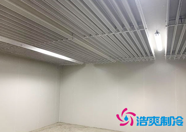 冰淇淋菠萝蜜在线观看建造