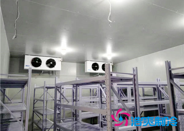 酒店菠萝蜜在线观看安装方案